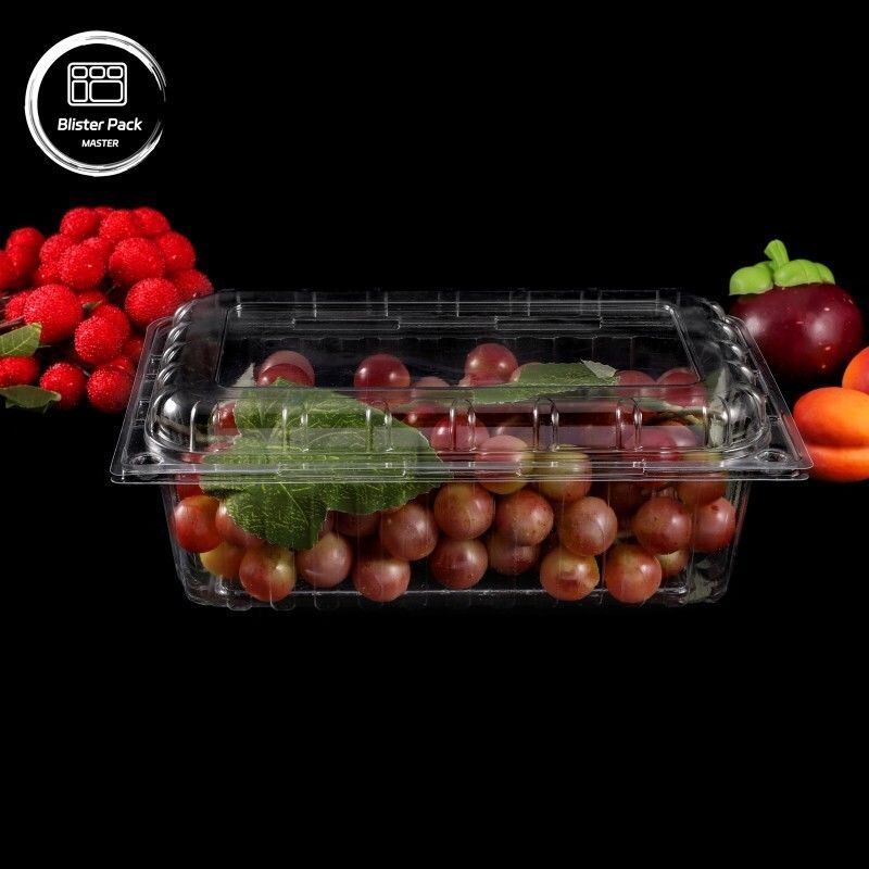 Przejrzystość PET pojemniki na owoce z muszli jednorazowych plastikowych pudełek z pokrywkami do opakowań litchi i winogron