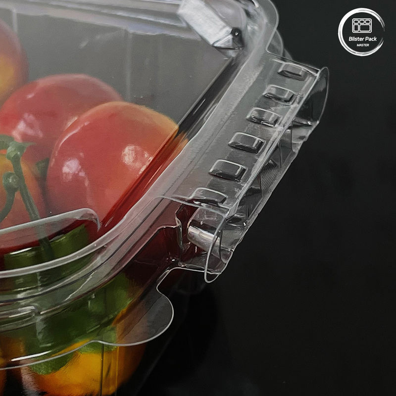 Środowiskowo przyjazne 16 i 24 oz pojemniki do sałatek z przymocowanymi pokrywkami jednorazowe dla świeżych produktów