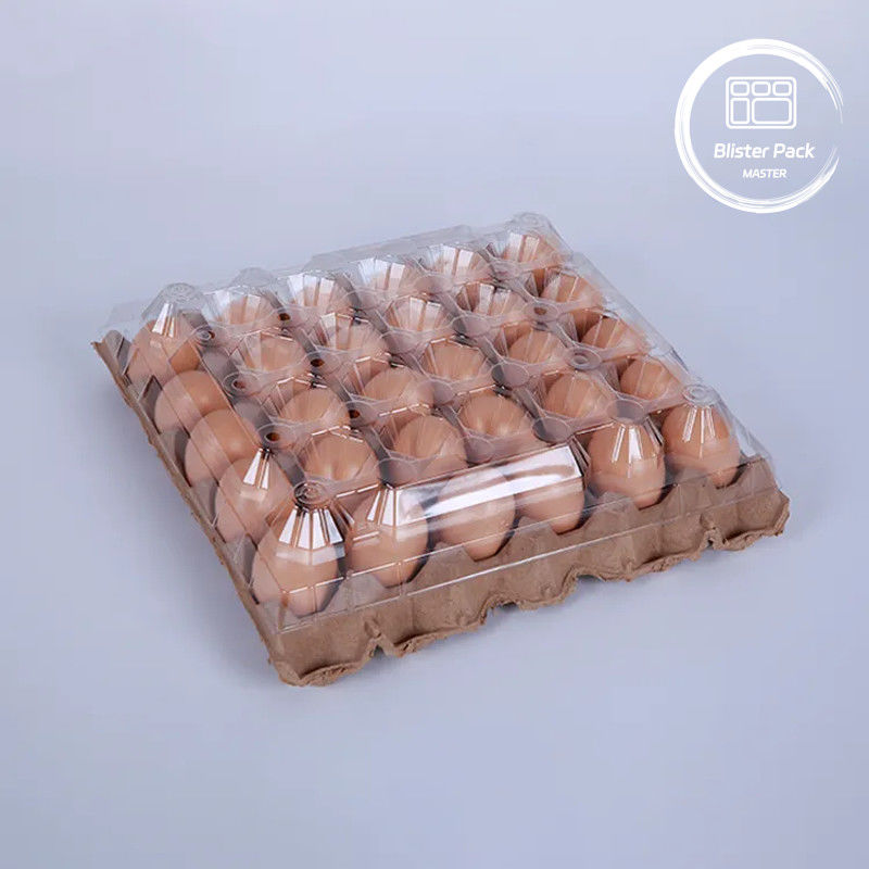 PET plastikowe pudełko do jaj opakowanie 30 otworów karton w rozmiarach S/M/L z papierowym dnem