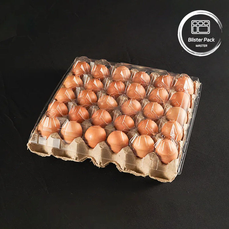 20/24/30 Komórki PET Przejrzyste plastikowe pęcherzyki do jajek Targowy jednorazowy opakowanie do jajek ptaszek kurczaka z pokrywą