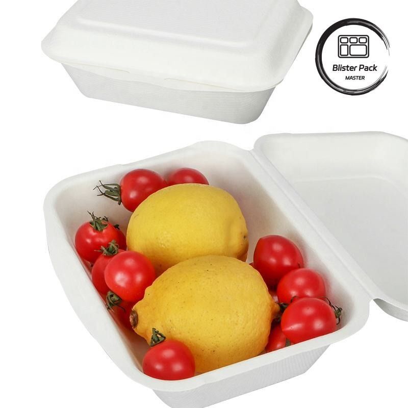 9-calowy pudełko na obiad z trzciny cukrowej, bagasse, ślimak, jednorazowy i biodegradowalny pojemnik na żywność do hamburgerów i piekarni
