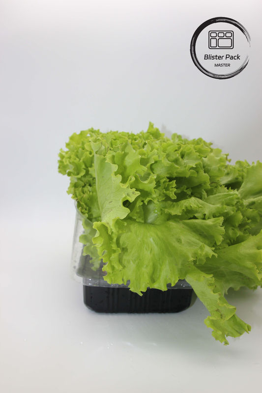 Sztuczny ogród warzywa i owoce plastikowe tacki do sadzenia idealnie nadające się do dekoracji