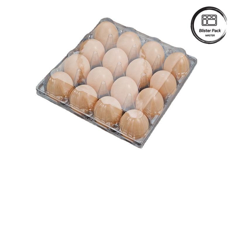 20/24/30 Komórki PET Przejrzyste plastikowe pęcherzyki do jajek Targowy jednorazowy opakowanie do jajek ptaszek kurczaka z pokrywą